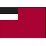 5'x8' Georgia U.N. Nylon Outdoor Flag - Style B